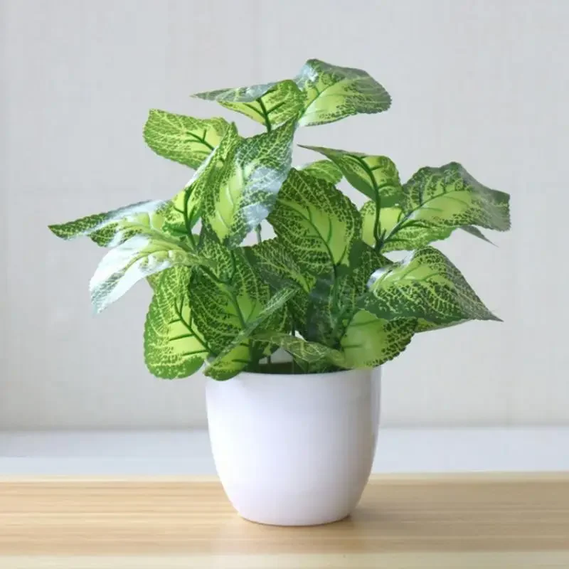 Snake Plant - Искусственные растения, бонсай, декоративные растения для