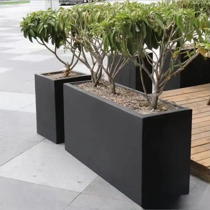 Новый большой прямоугольный ал – обзор и цена Indoor Plants