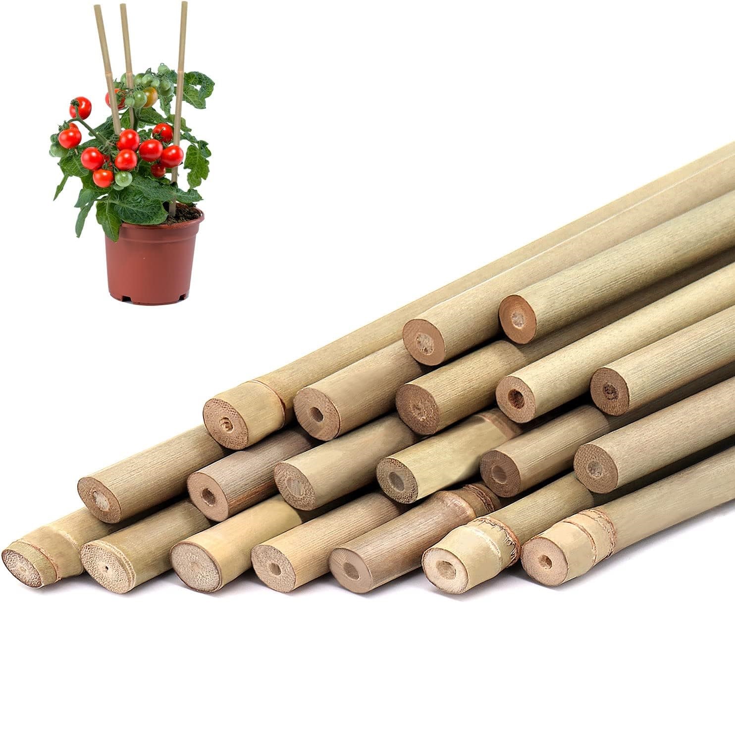 10 шт., бамбуковые колья для р – обзор и цена Plant Support Stake