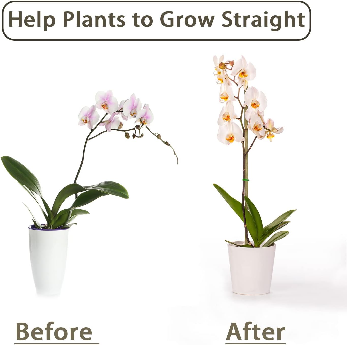 10 шт., бамбуковые колья для р – обзор и цена Plant Support Stake