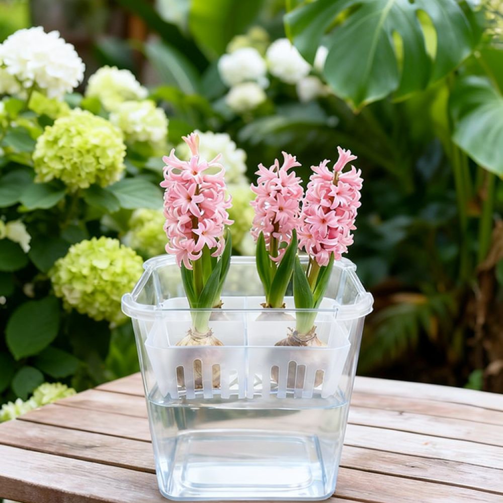 Гидропонная ваза для тюльпанов – обзор и цена Plant Pot
