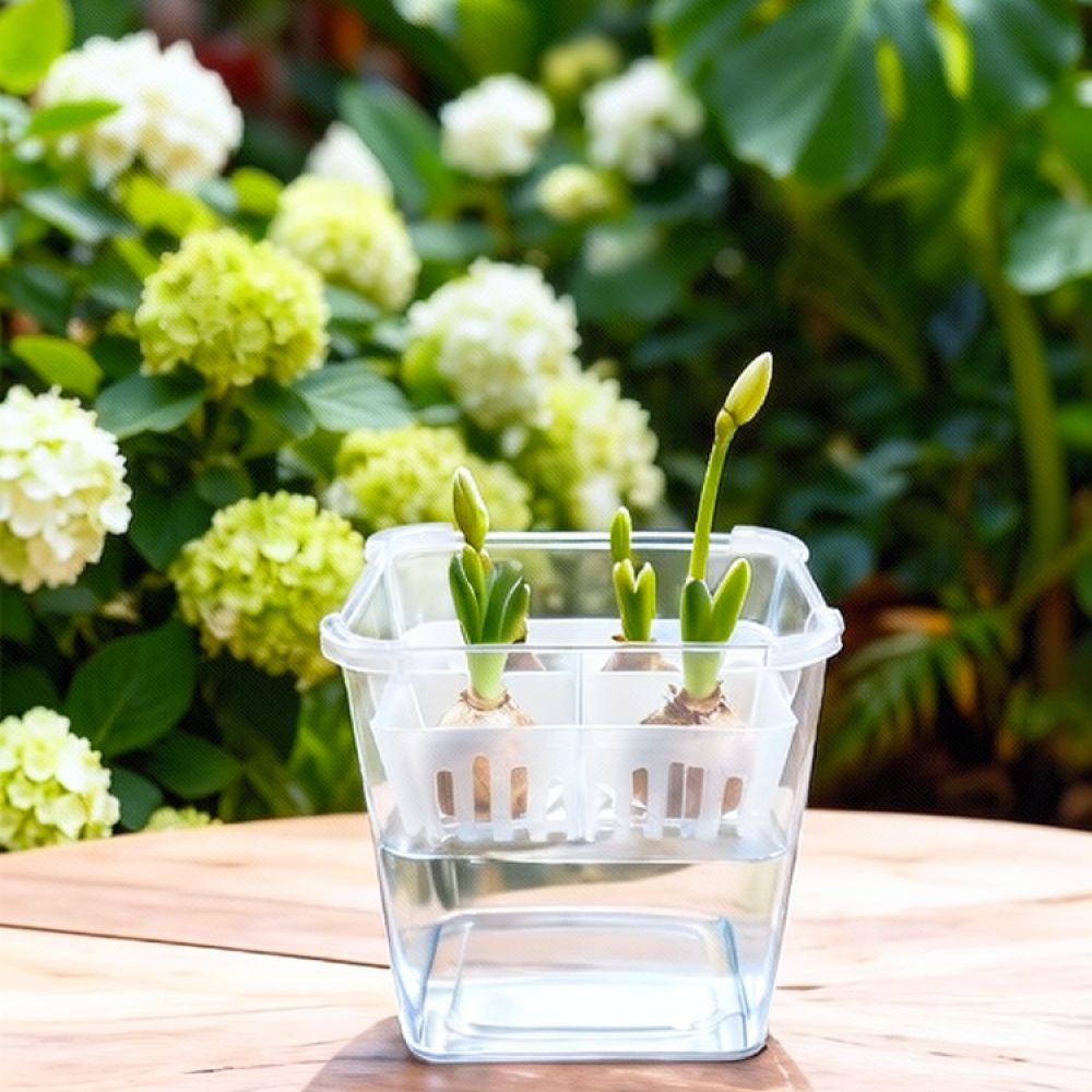 Гидропонная ваза для тюльпанов – обзор и цена Plant Pot