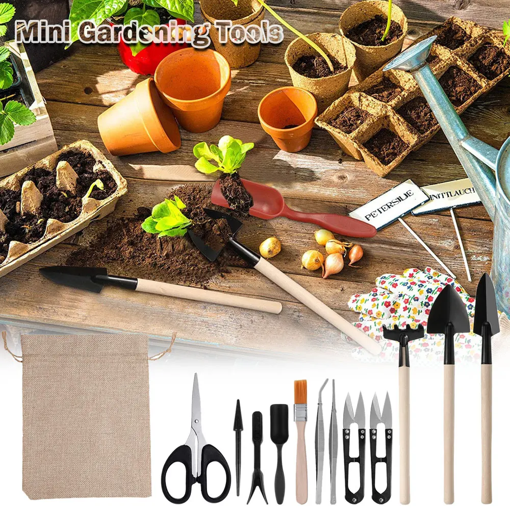 13 шт., набор инструментов для – обзор и цена Succulent Set