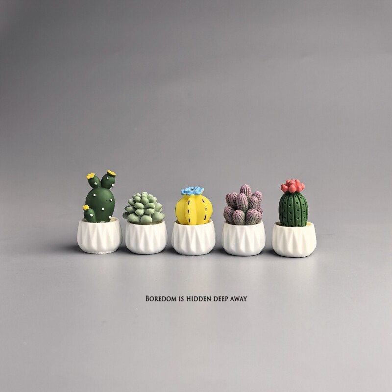 Миниатюрное растение в горшке: – обзор и цена Succulent Set