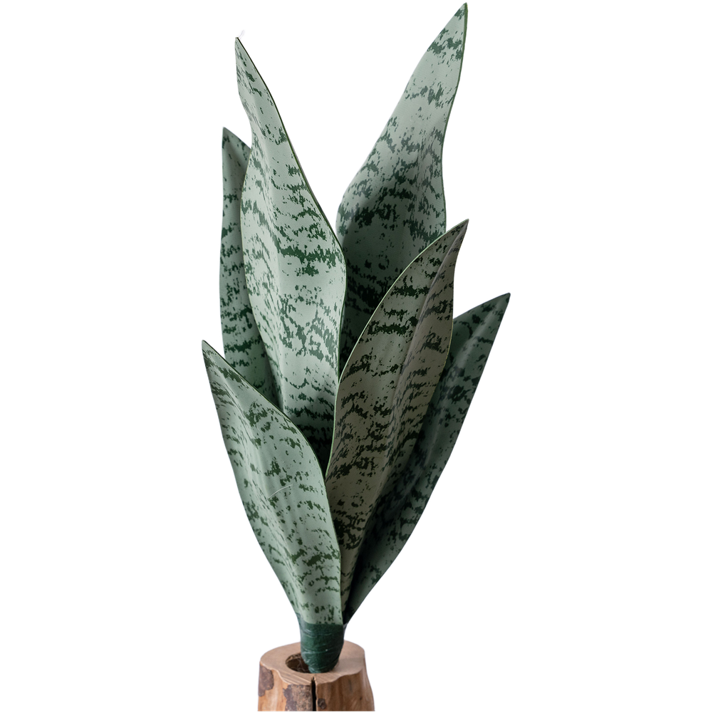 Искусственная зелень из ПВХ в  – обзор и цена Snake Plant