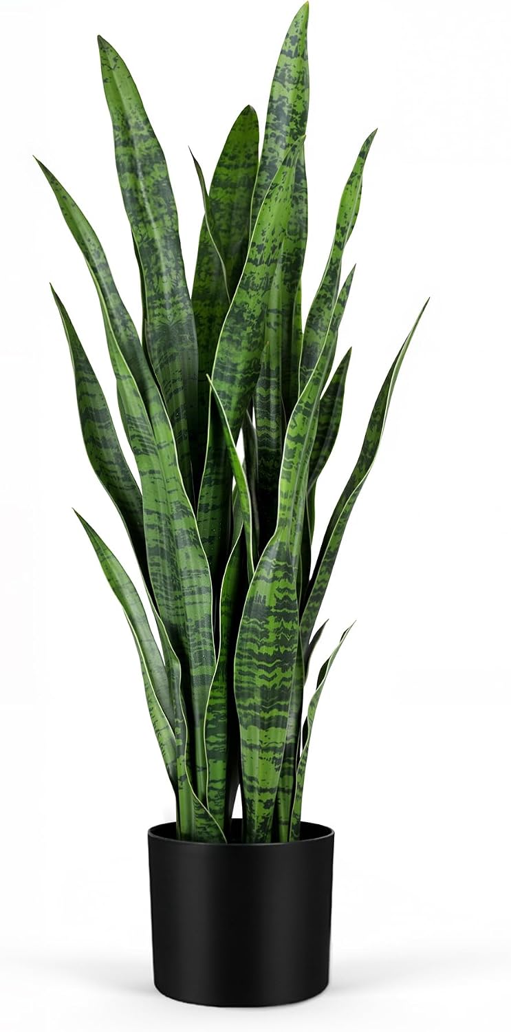 Искусственная змеевидная расте – обзор и цена Snake Plant