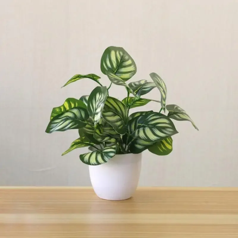 Искусственные растения, бонсай – обзор и цена Snake Plant